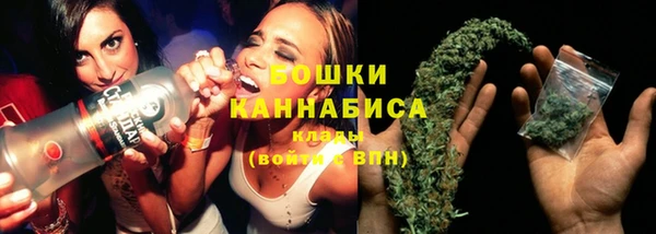 крисы Заводоуковск