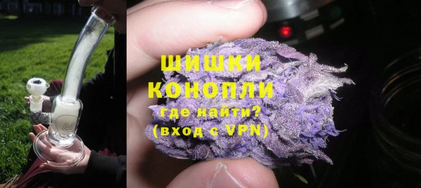 крисы Заводоуковск