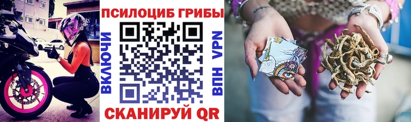 Купить где  Шарья  Псилоцибиновые грибы Psilocybine cubensis 